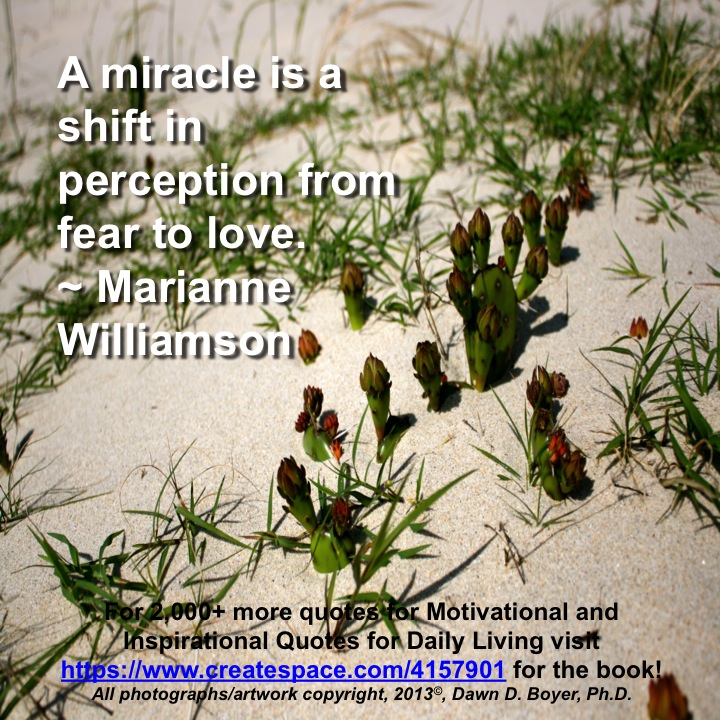 Quote of the Day - Miracles