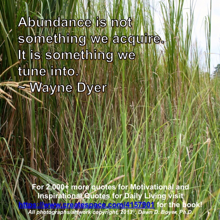 Quote of the Day - Abundance