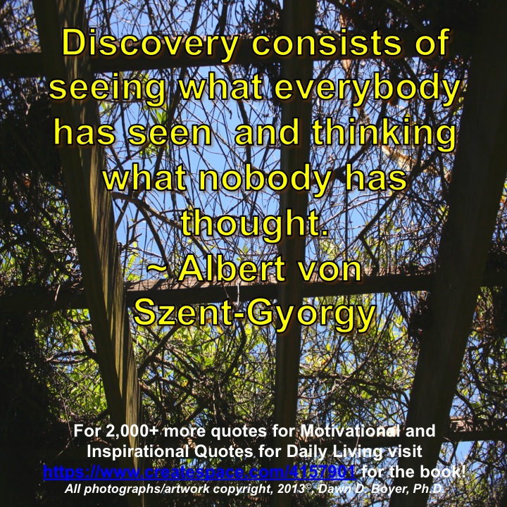 Quote of the Day - Discovery