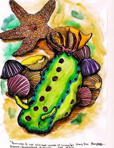 Tropical Undersea Wonders, Big Kids Coloring Book available on Amazon